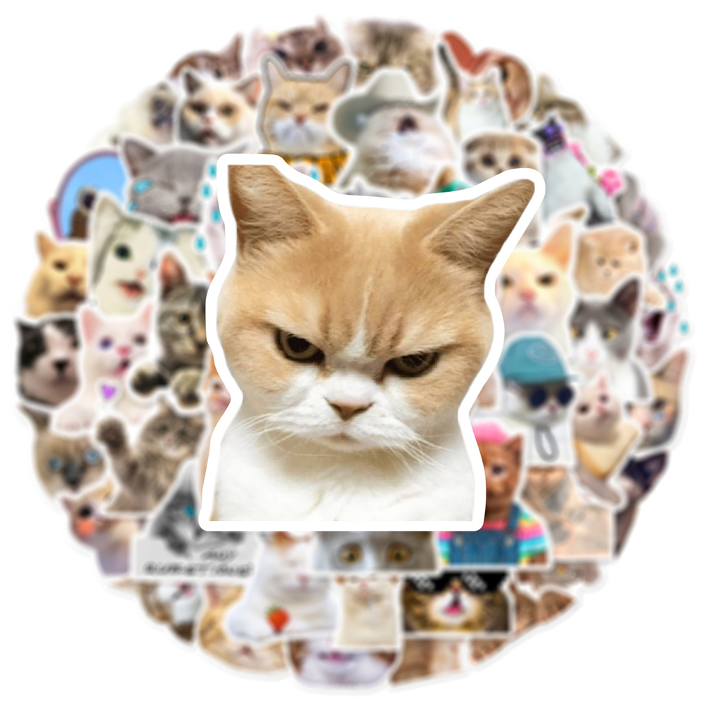 10/30/50pcs Cute Cat Meme Stic - огляд і ціна Phone Cases Wholesale