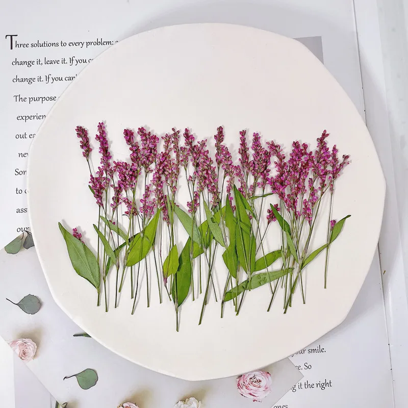 120pcs,5-8cm,Wholesale Nature  - огляд і ціна Phone Cases Wholesale